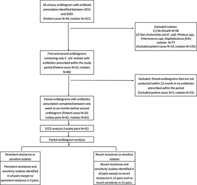 Examining pharmacoepidemiology of antibiotic use and resistance in first-line antibiotics: a self-controlled case series study of Escherichia coli in small companion animals